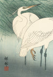 Koson 小原古邨 : Three Little Egrets in Shallow Water (Reserved)