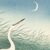 Koson 小原古邨 : Three Little Egrets in Shallow Water (Reserved)
