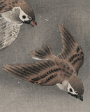Koson 古邨：雪片とともに飛ぶ二羽のスズメ