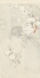 Koson 古邨：桜の枝にとまるカラス