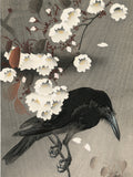 Koson 古邨：桜の枝にとまるカラス