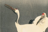 Koson 古邨：二羽の丹頂