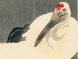 Koson 古邨：二羽の丹頂