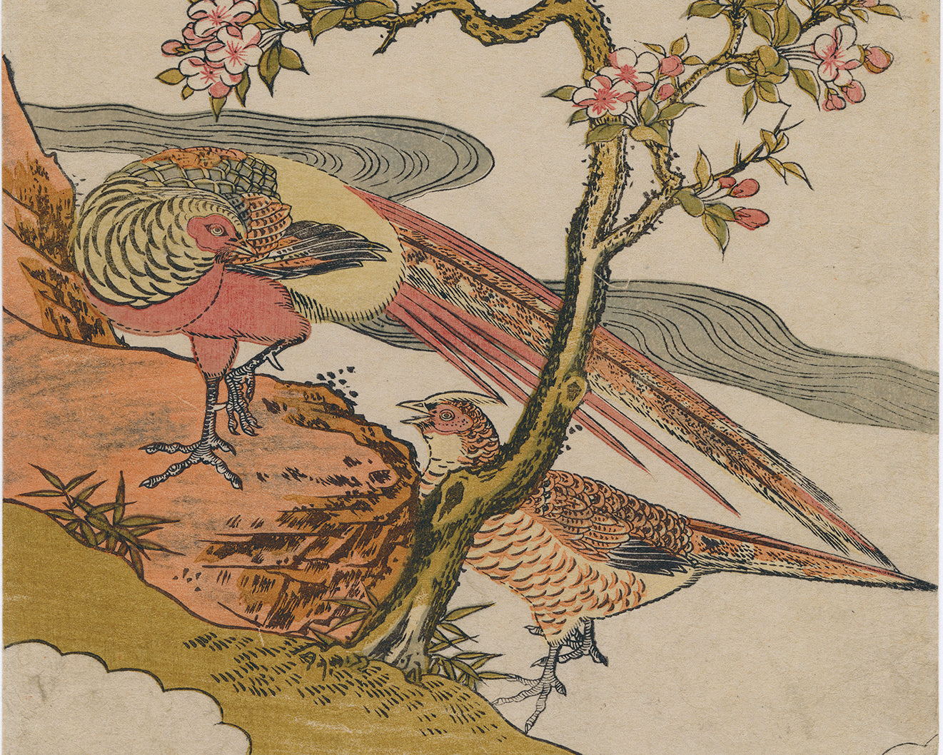 Isoda Koryusai (attributed to): Pair of Pheasants beneath a