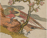 磯田湖龍斎（帰属）：花咲く桜の木の下のキジの一対