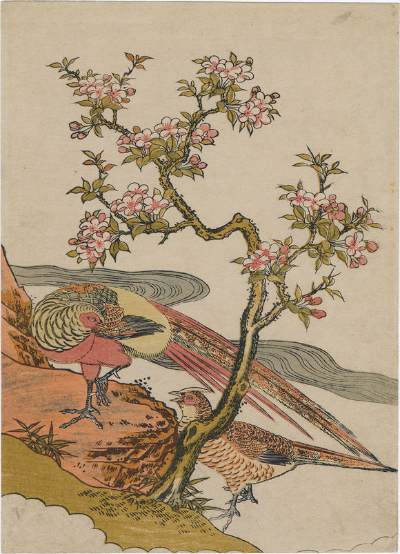 Isoda Koryusai (attributed to): Pair of Pheasants beneath a Flowering Cherry Tree