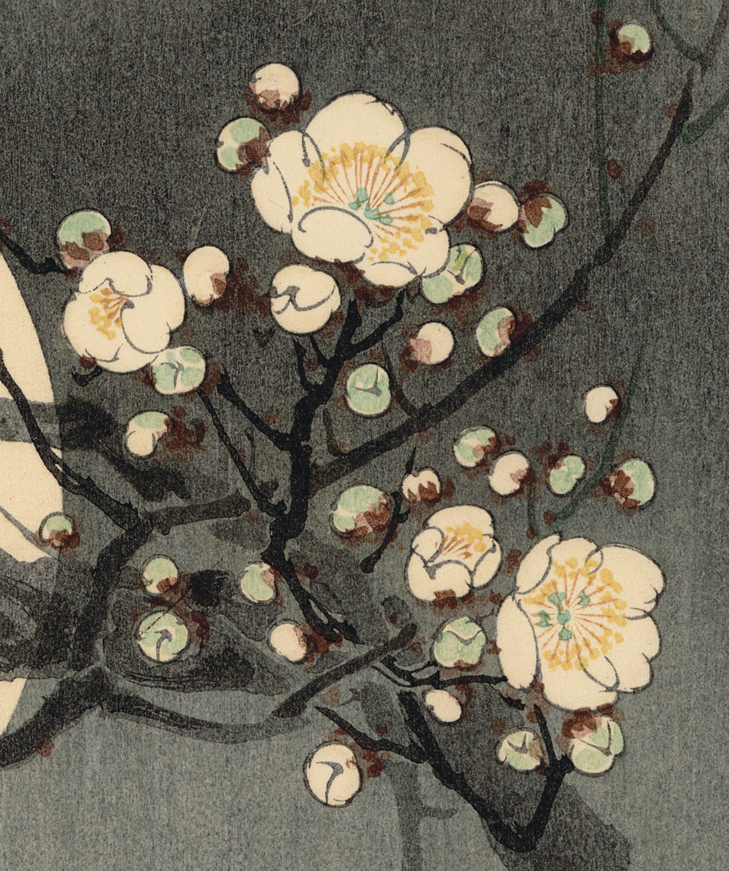 Koson 小原古邨: Flowering Plum and Moon (First Edition