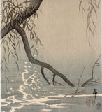 Koson 小原古邨 : Little Egret with Outstretched Wings on a Willow Branch 小鷺 (Oversized First edition) (SOLD)