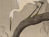 公孫 小原古邨:柳の枝に翼を広げたコサギ 小鷺 (特大初版) (SOLD)
