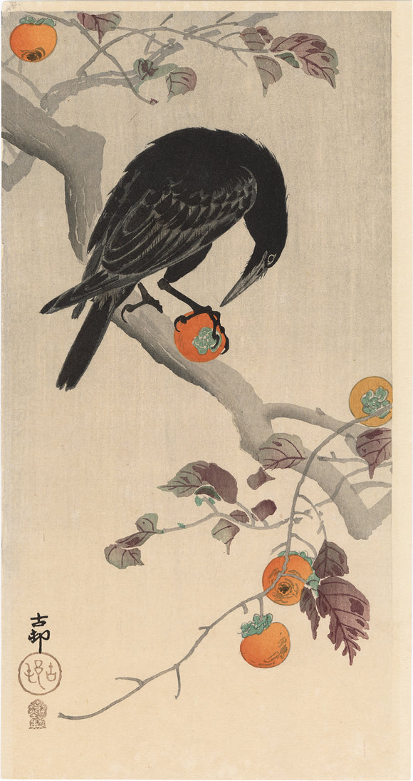 Koson 小原古邨 : Crow with Persimmon Fruit (Reserved)