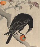 Koson 小原古邨 : Crow with Persimmon Fruit (SOLD)