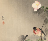 Koson 小原古邨 : Stonechat Bird with Flowering Hibiscus (SOLD)