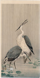 Koson 小原古邨 : Two Herons Wading in the Rain (1st edition) (Sold)
