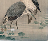 Koson 小原古邨:Two Herons Wading in the Rain (初版) (販売済み)