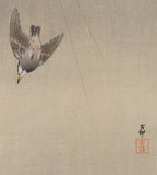 Koson 小原古邨 : Grey Starlings in Flight in the Rain (Sold)