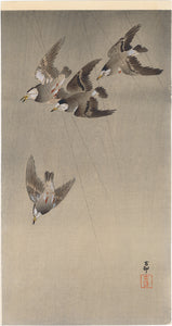 Koson 小原古邨 : Grey Starlings in Flight in the Rain (Sold)