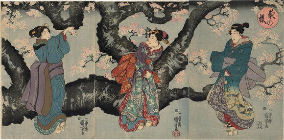 Kuniyoshi 国芳: Cherry Blossoms at Night 夜の桜 (Sold)