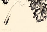 Obata: Sumi Painting; Studies of Acanthus Leaves