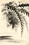 Obata：墨絵；サイカッドの葉と流れる水の研究