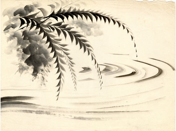 Obata：墨絵；サイカッドの葉と流れる水の研究