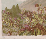 Oda Kazuma: Mount Fuji with Blooming Thistle Flowers (Sold)