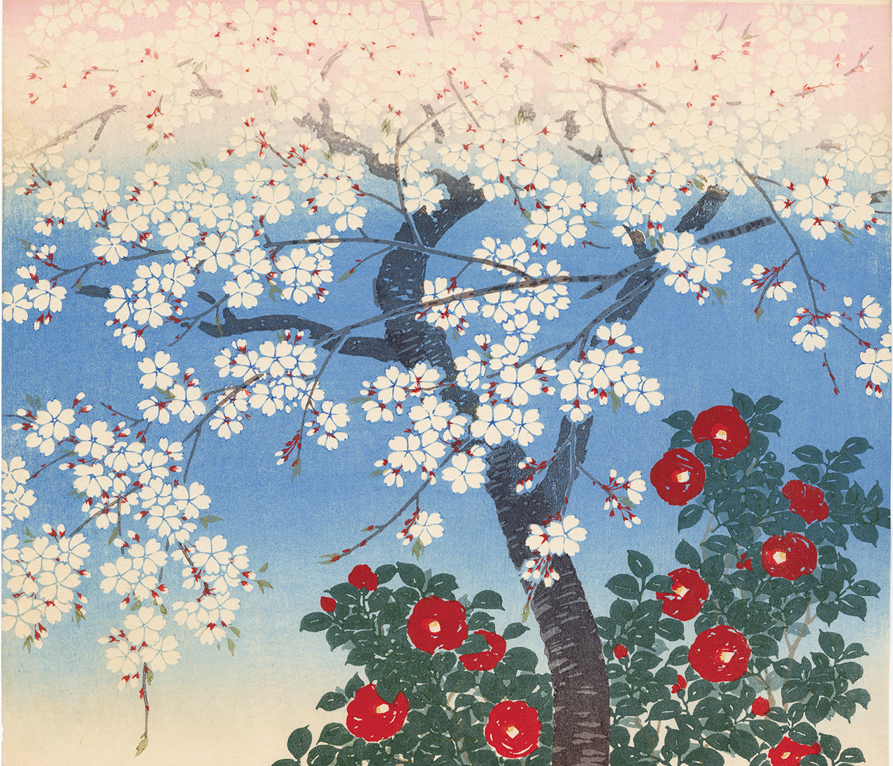 Kawatsura Yoshio (Negoro Raizan): Blooming Cherry and Camellia