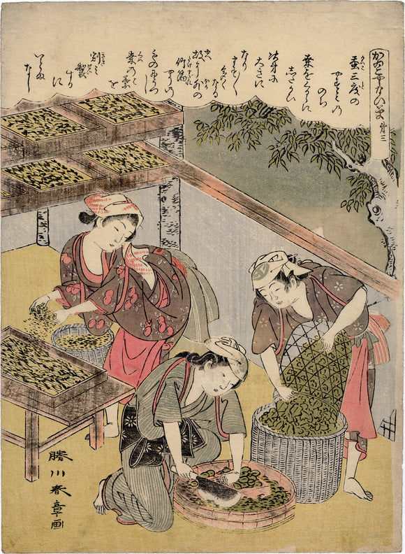 春章 春章:養蚕（製糸）のために桑の葉を刻む女性たち