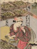春章 春章:養蚕（製糸）のために桑の葉を刻む女性たち