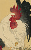 Ito Sozan 総山: Rooster and Hen 鶏 ニワトリ (Sold)