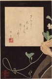 Yoshitoshi: Onoe Kikugorô V as the Hag of Adachi Moor Triptych