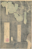 Yoshitoshi: Onoe Kikugorô V as the Hag of Adachi Moor Triptych