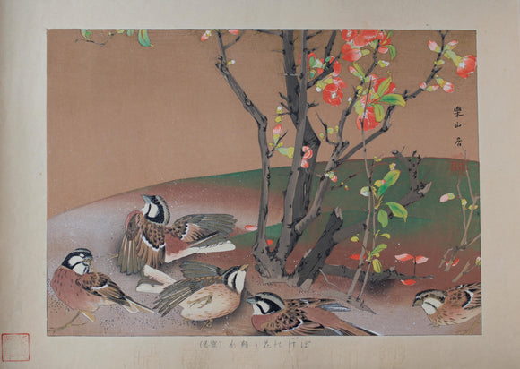 Tsuchiya Rakusan: Quince Flowers and Meadow Buntings