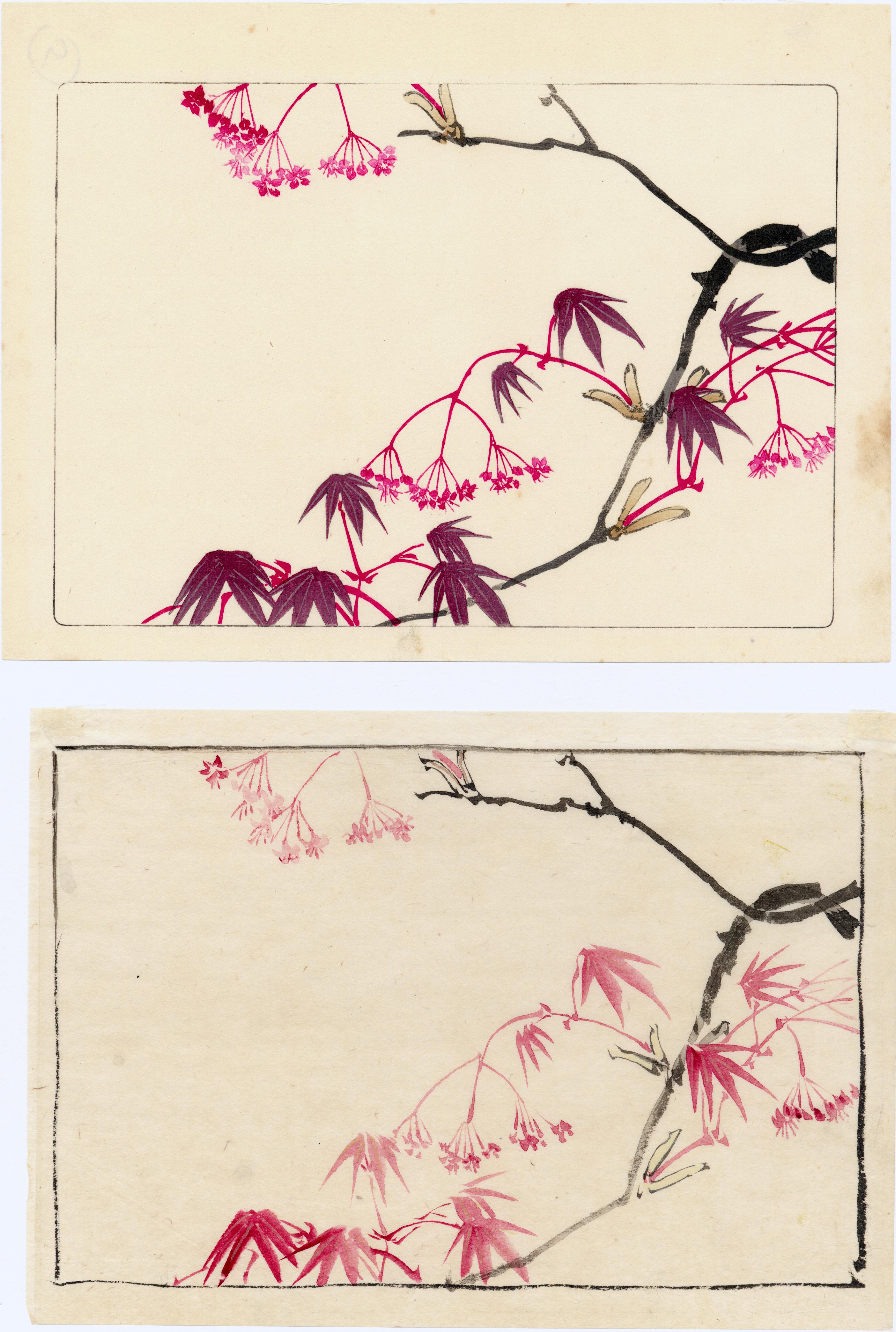 The Floating World: Ukiyo-e | John Warwicker ジョン・ワー