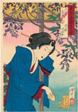 Yoshitoshi: April: The Geisha Otsuyu of Yanagibashi at the Wisteria Arbor at Kameido shrine leans forward to feed a biscuit to the ducks. (Sold)