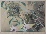 Tsuchiya Rakusan: Bamboo Lily and Japanese Warbler (Sold)