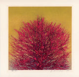 Hoshi Jōichi: Treetop (Red) (Sold)
