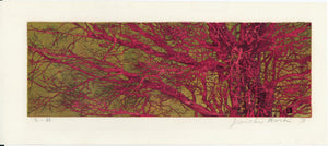 Hoshi Jōichi: Red Branches (akai eda).