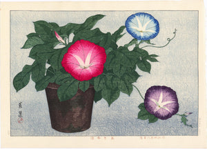 Inuzuka Taisui: Morning Glories. Richly hued blossoms all turn to soak up the light of the sun. This publisher also published prints by Hasui at around the same time.
