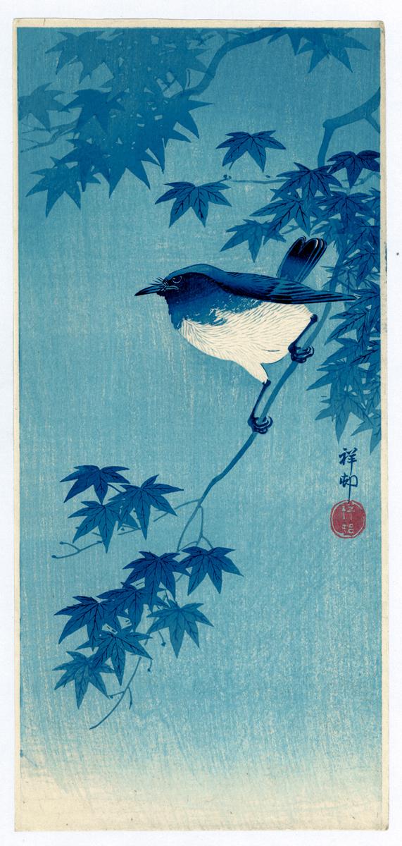 Ohara Kōson: Blue Robin on Maple Branch