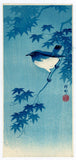 Ohara Kōson: Blue Robin on Maple Branch