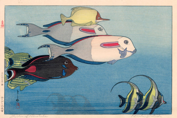 Yoshida: Fishes of Honolulu