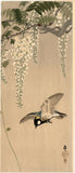 Ohara Kōson: Great tit in flight beneath wisteria blossoms