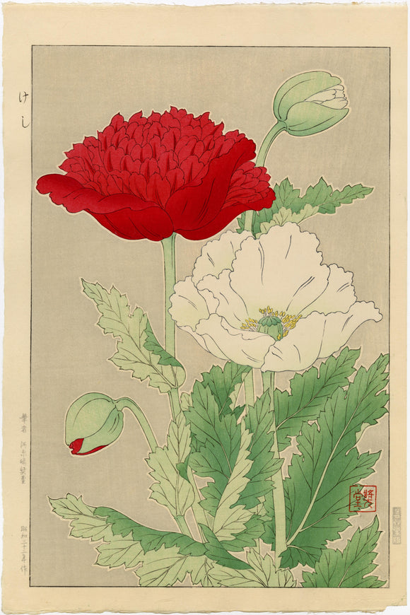 Kawarazaki Shōdō: Red and White Poppies