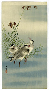 Ohara Kōson: Three wading birds