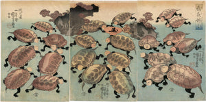 Kuniyoshi: Turtle Triptych