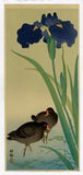 Kōson: Two Gallinules with Iris (Sold)