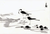 Obata: Sumi-e of two seabirds on the shore.