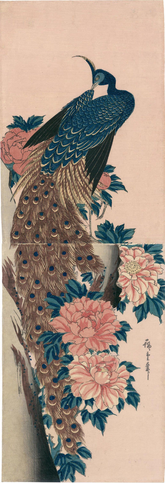 Hiroshige: Peacock and Peonies