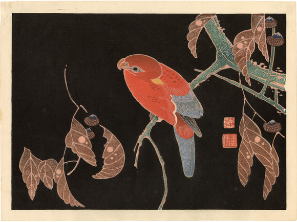 Ito Jakuchū: A brightly colored parrot on a bough against a black sky. After a painting by Ito Jakuchu.