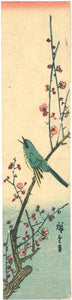 Hiroshige: Bush warbler on a plum branch